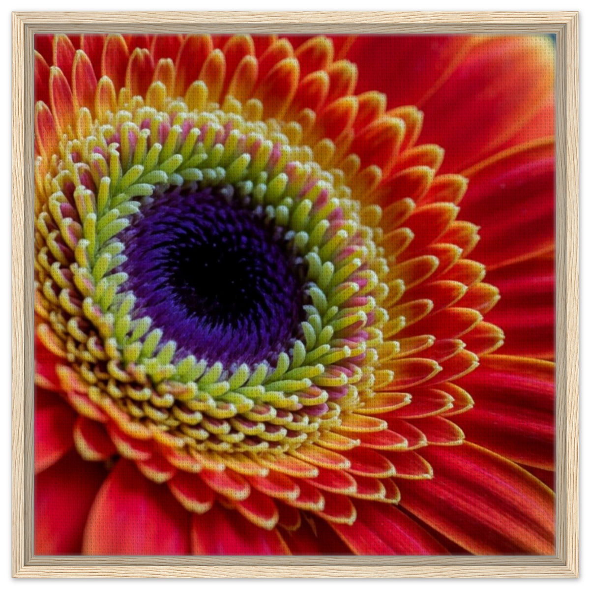 8face2c4-e7d8-48bd-bc29-bea56d01a929