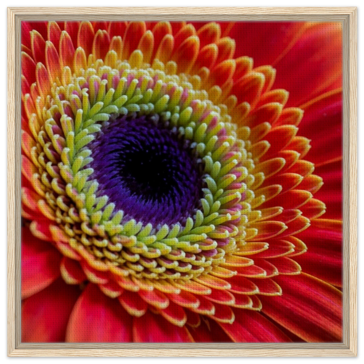 941cf15c-9f75-4584-8d46-cd6ceed3a2da