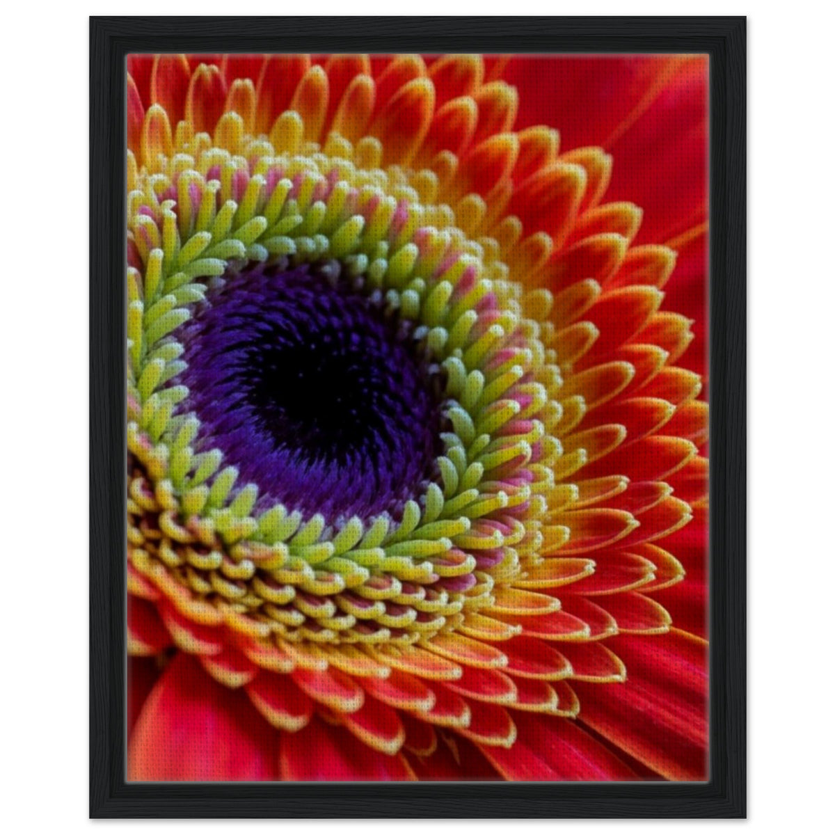 b5fedeb9-cb78-4eca-a06f-367f9249c954