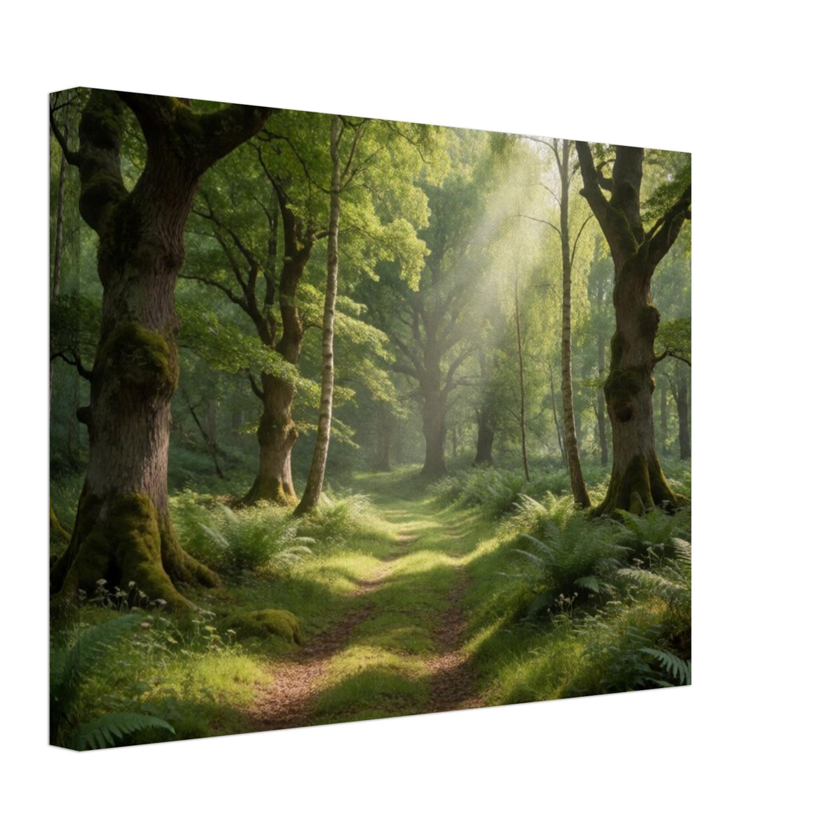 ddc53138-c30a-42b1-85a1-eefb969e72ed